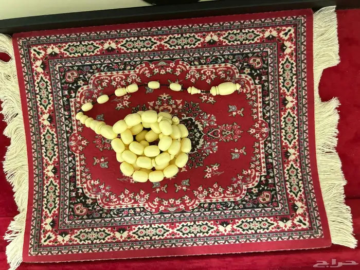 دومنه مسباح 0