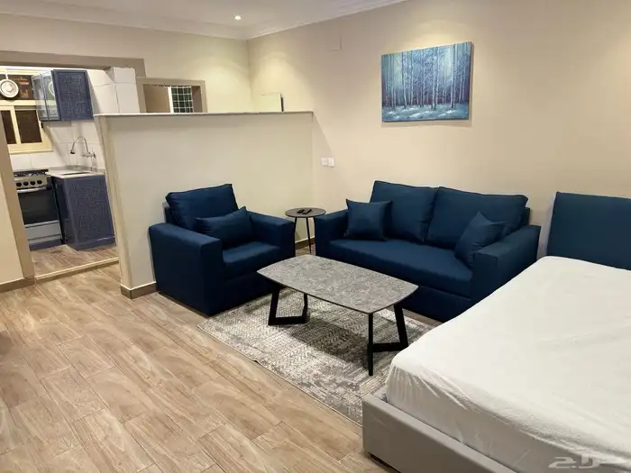 2BR Luxury 1BR with private entrance monthly rent 13