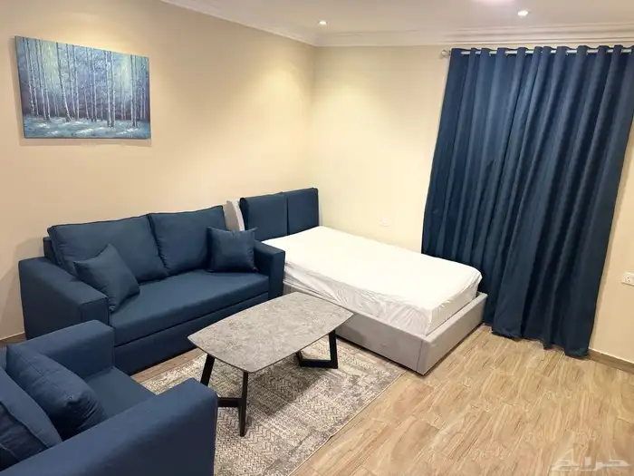 2BR Luxury 1BR with private entrance monthly rent 12