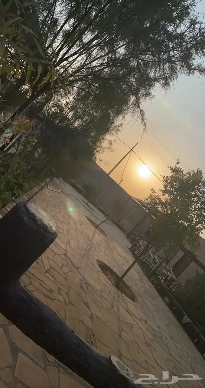 استراحة زراعية للإيجار السنوي وللبيع في ديراب 8