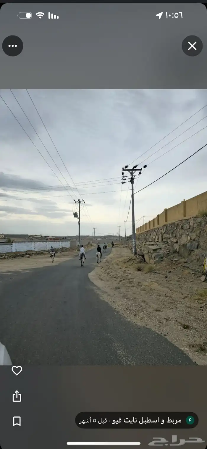 مربط واسطبل نايت  يو 7