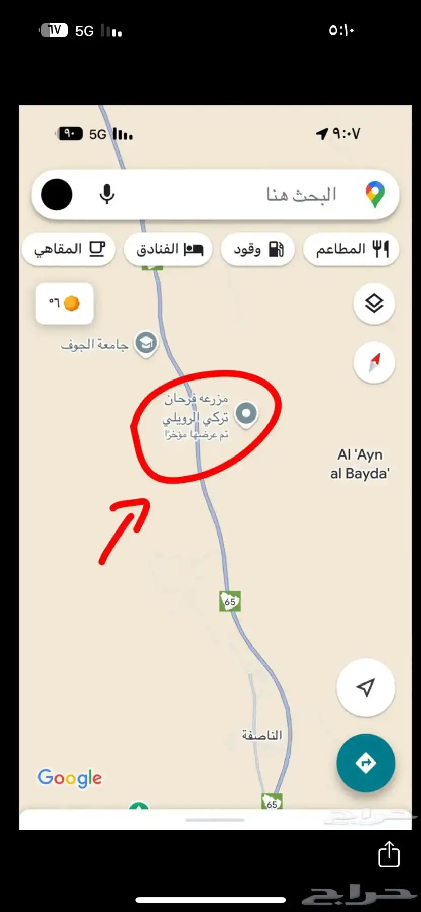 قطه بسه مفقوده 4
