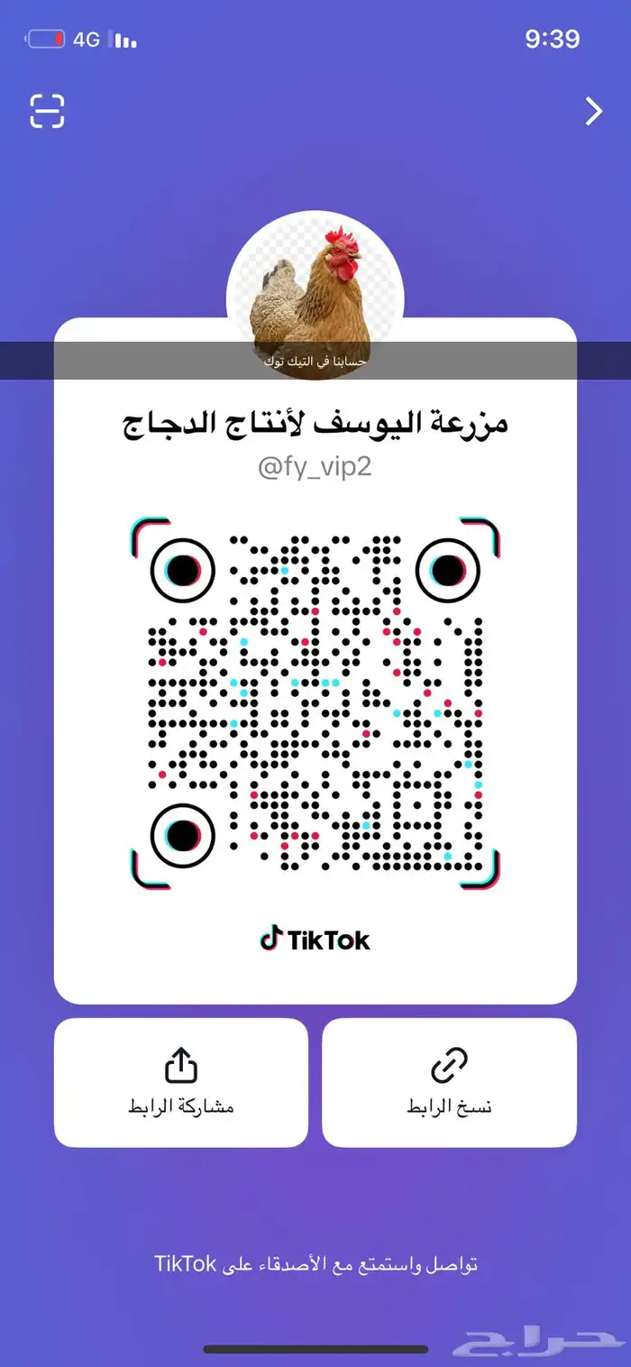 بيض بلدي تخصيب عالي 1