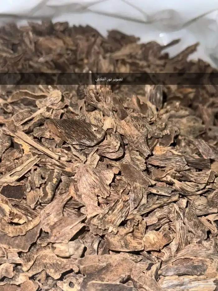للبيع عود هندي موري 0