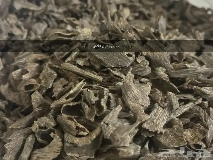 للبيع عود هندي موري 1