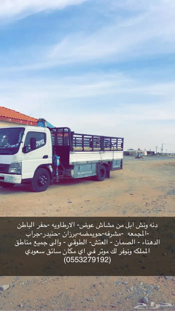 دينا ونش 0