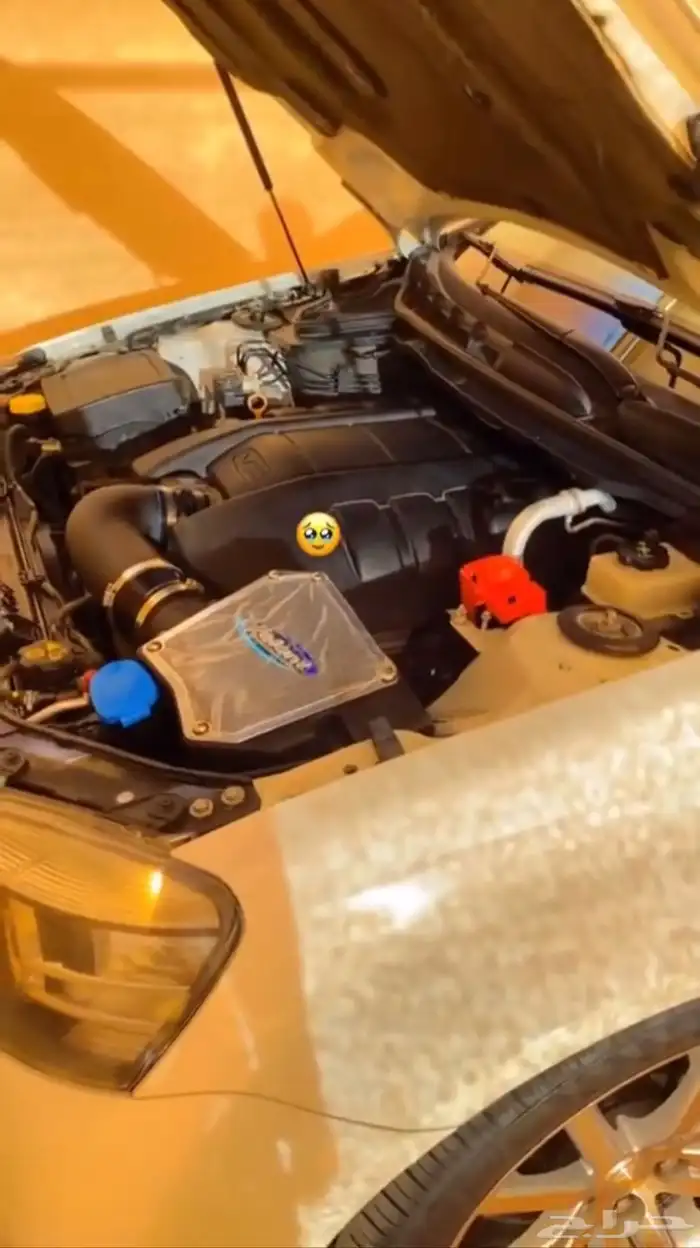 فلتر انتيك كابرس من شركة Volant 0