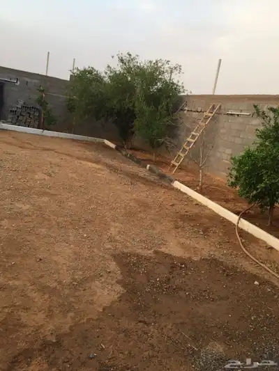 شالية بطريق المدينه 1
