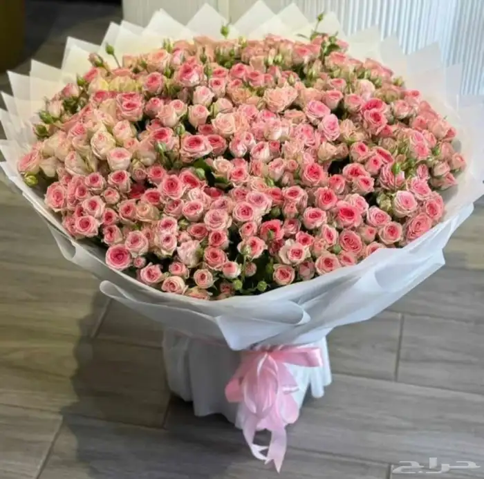 مندوب هدايا جدة 12