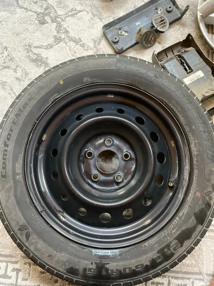 طيس التيما 2010 13