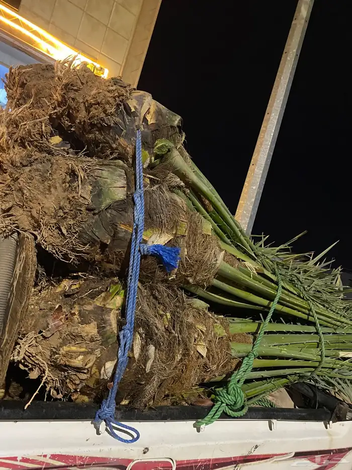 برني  أخلاص 0