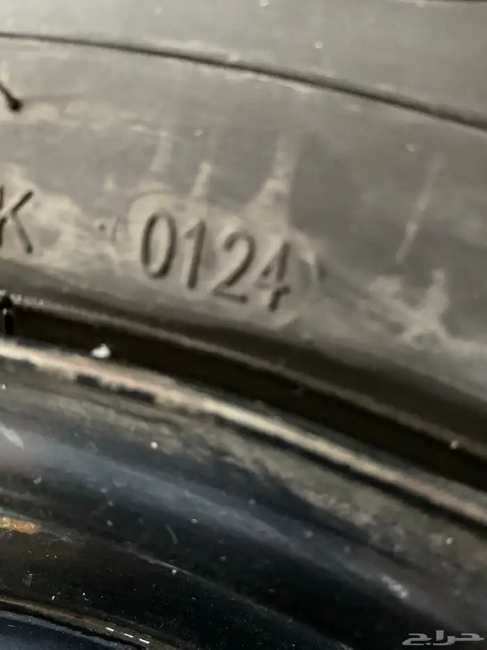 طيس التيما 2010 14