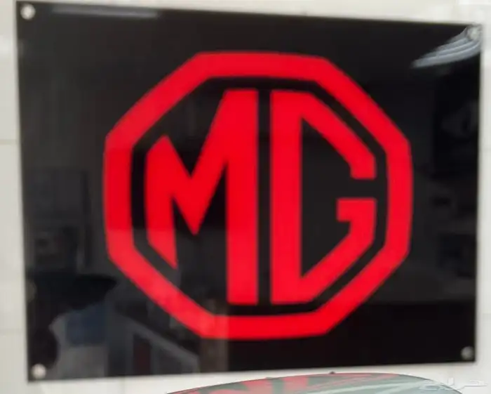 قطع غيار ونيت ام جي T60 1