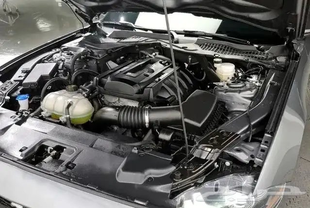 Mustang coupe 2023 14