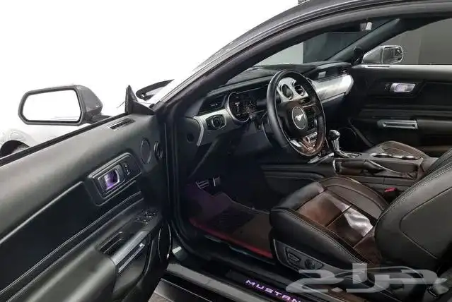 Mustang coupe 2023 11