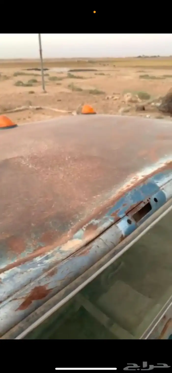 شفر مديل 81 حد 6000 الاف 1