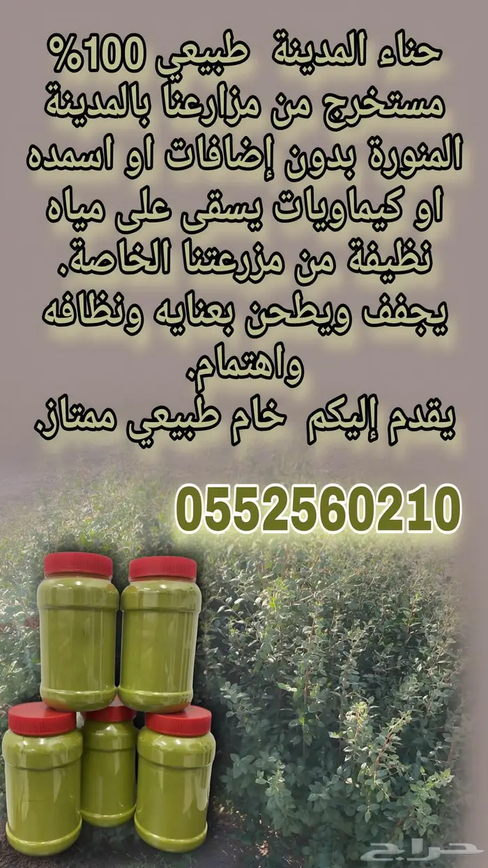 حنا المدينه المنوره 0