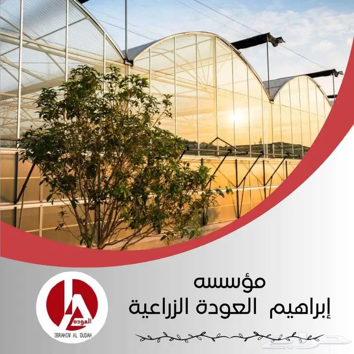 للبيع خلايا تبريد ( وطني - صيني ) 0