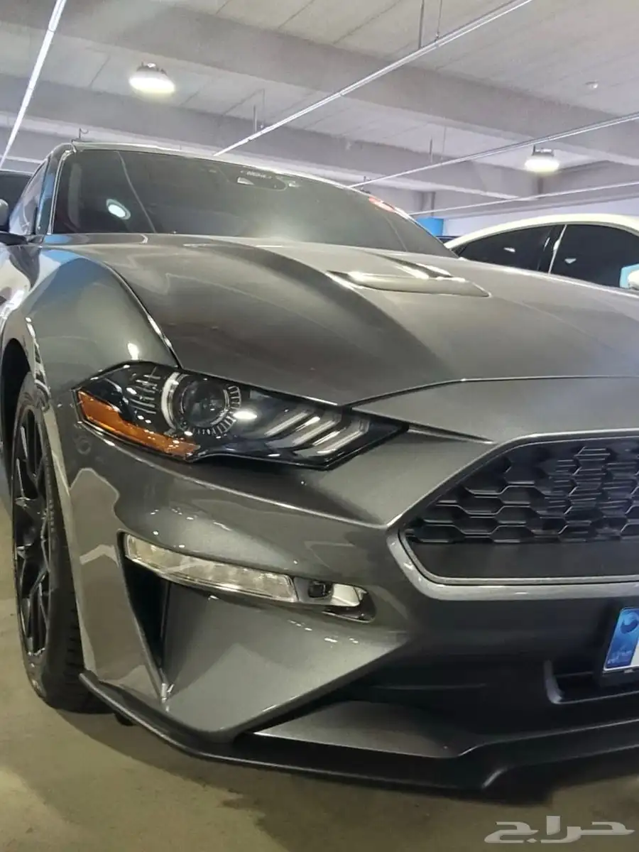 Mustang coupe 2023 0