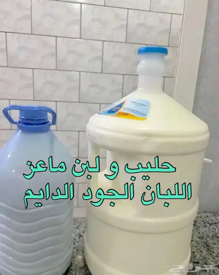 حليب ولبن ماعز رعي بري 1