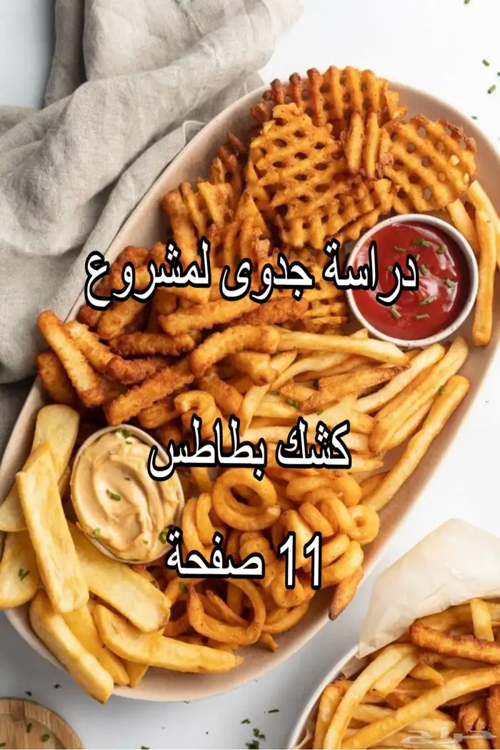 دراسة جدوى لمشروع كشك بطاطس 0