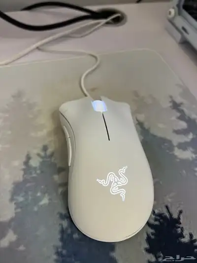 سيت اب بي سي قيمنق نظيف 5