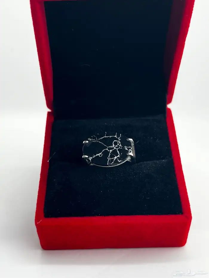 خواتم ملكية رجالية فضة 925 27