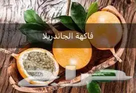 شتلات فاكهة متسلقه نادره 6