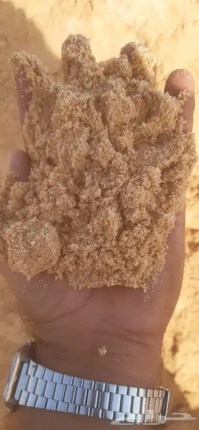 بطحا الرياض بطحا تيما 1
