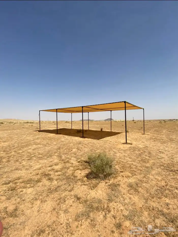 مضلات الإبل 1