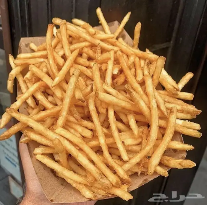 دراسة جدوى لمشروع كشك بطاطس 3