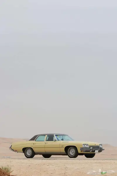 بيوك 73 ليسابر مخزن بالأحساء 12