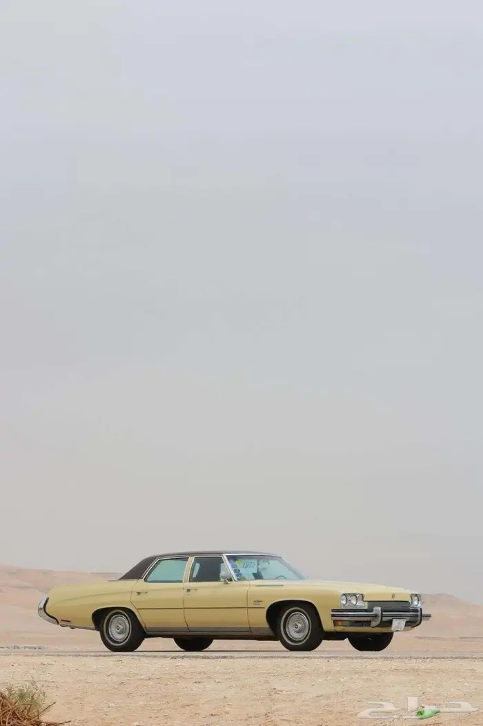 بيوك 73 ليسابر مخزن بالأحساء 12