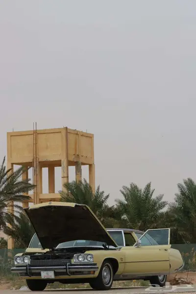 بيوك 73 ليسابر مخزن بالأحساء 38