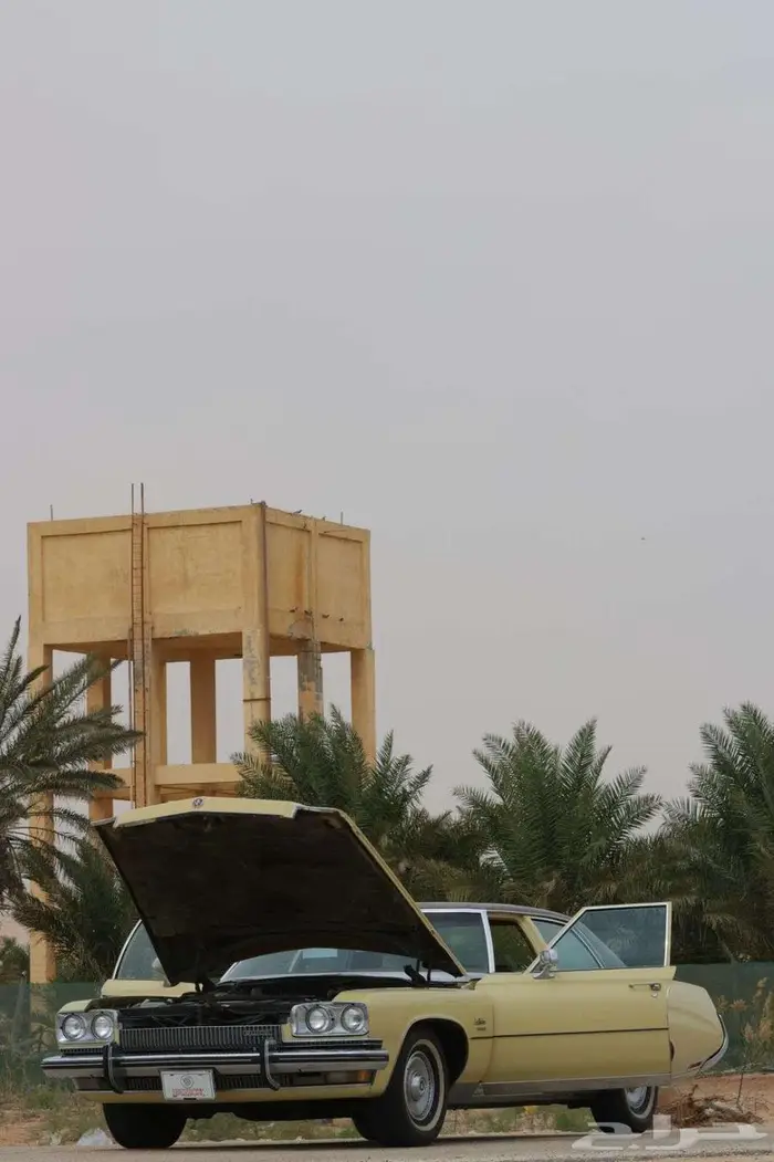 بيوك 73 ليسابر مخزن بالأحساء 38