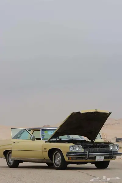 بيوك 73 ليسابر مخزن بالأحساء 13