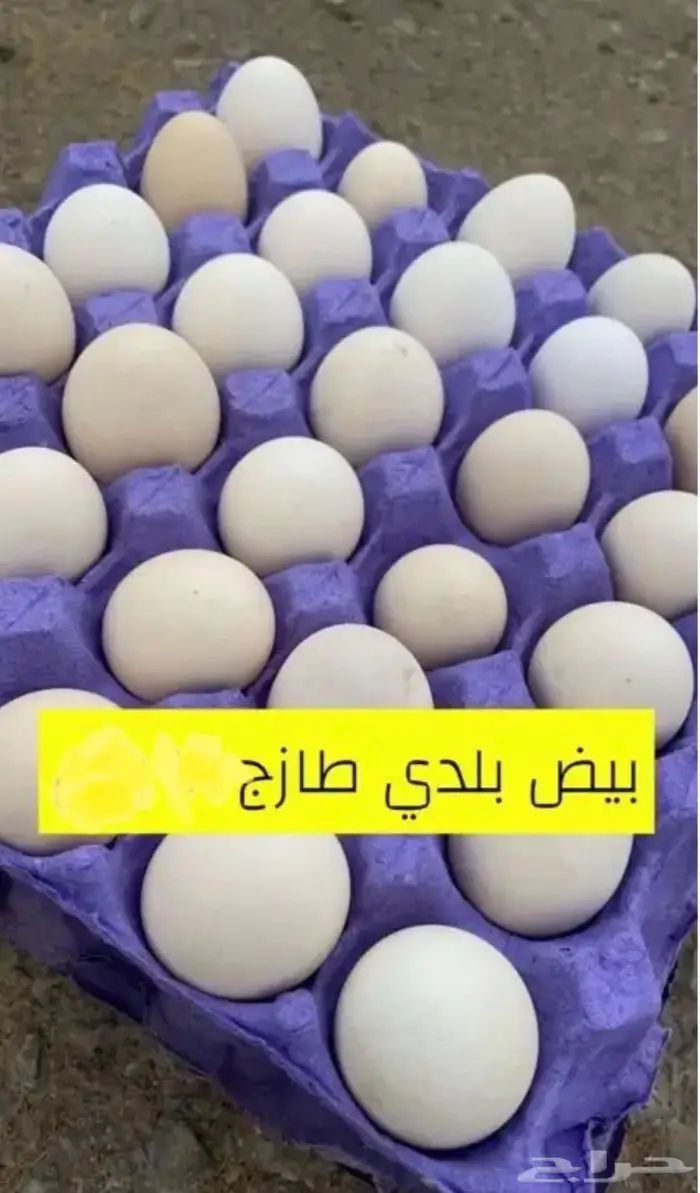 بيض بلدي - القصيم - البكيرية 0
