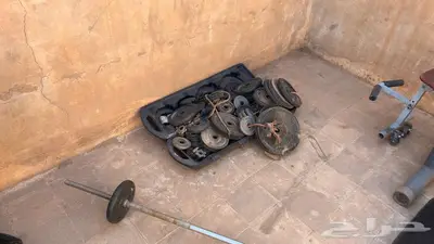 دنابل تمارين حديد 1