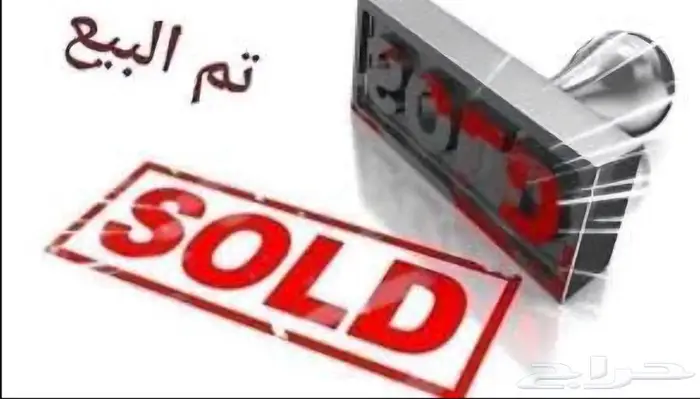 لوري سكالي ذكر 0