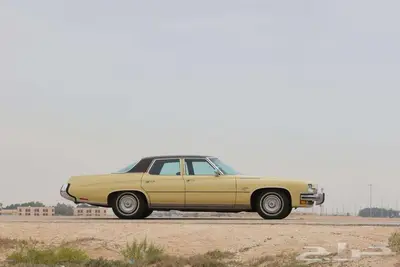 بيوك 73 ليسابر مخزن بالأحساء 15