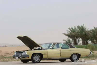 بيوك 73 ليسابر مخزن بالأحساء 9