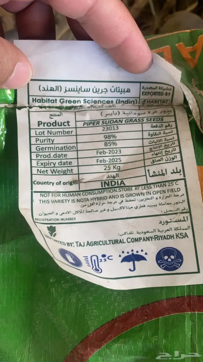 بذور ذره سودانيه 1