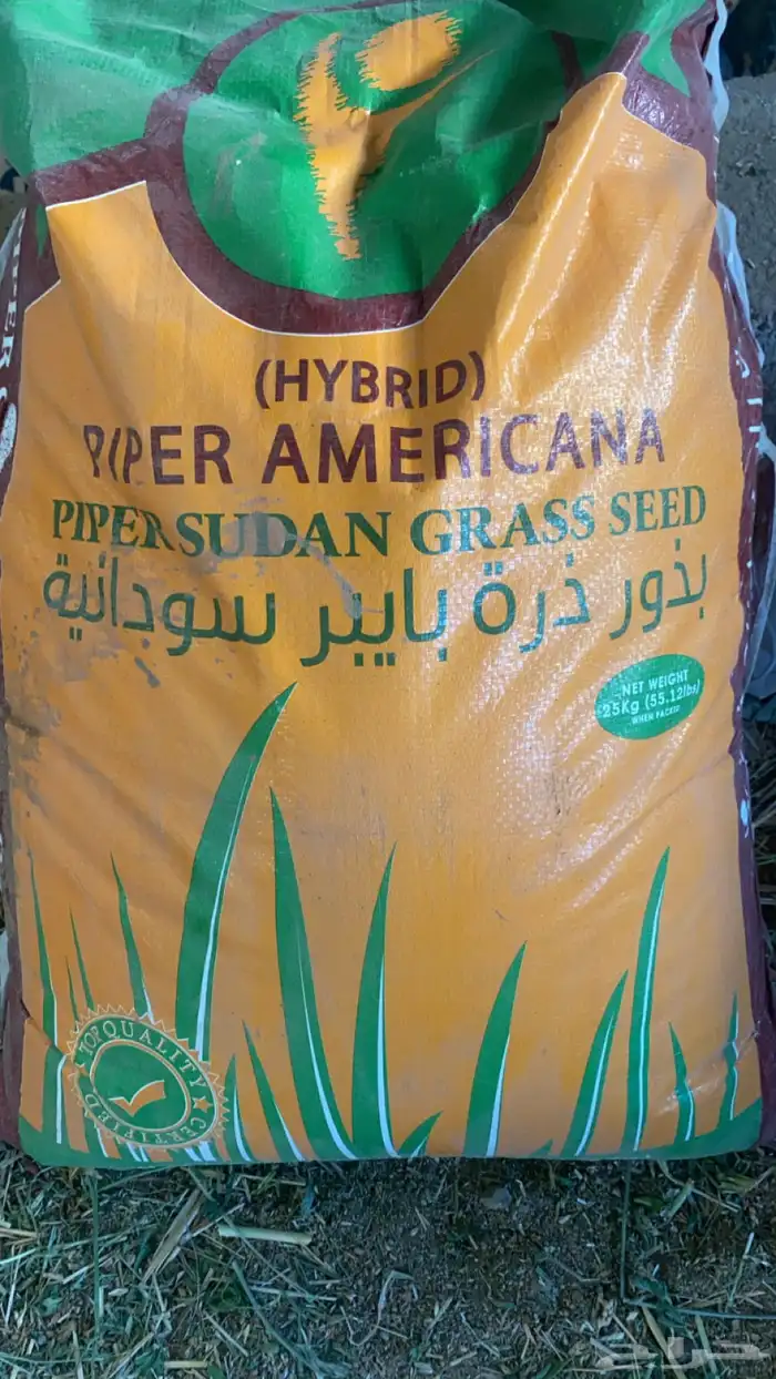 بذور ذره سودانيه 0