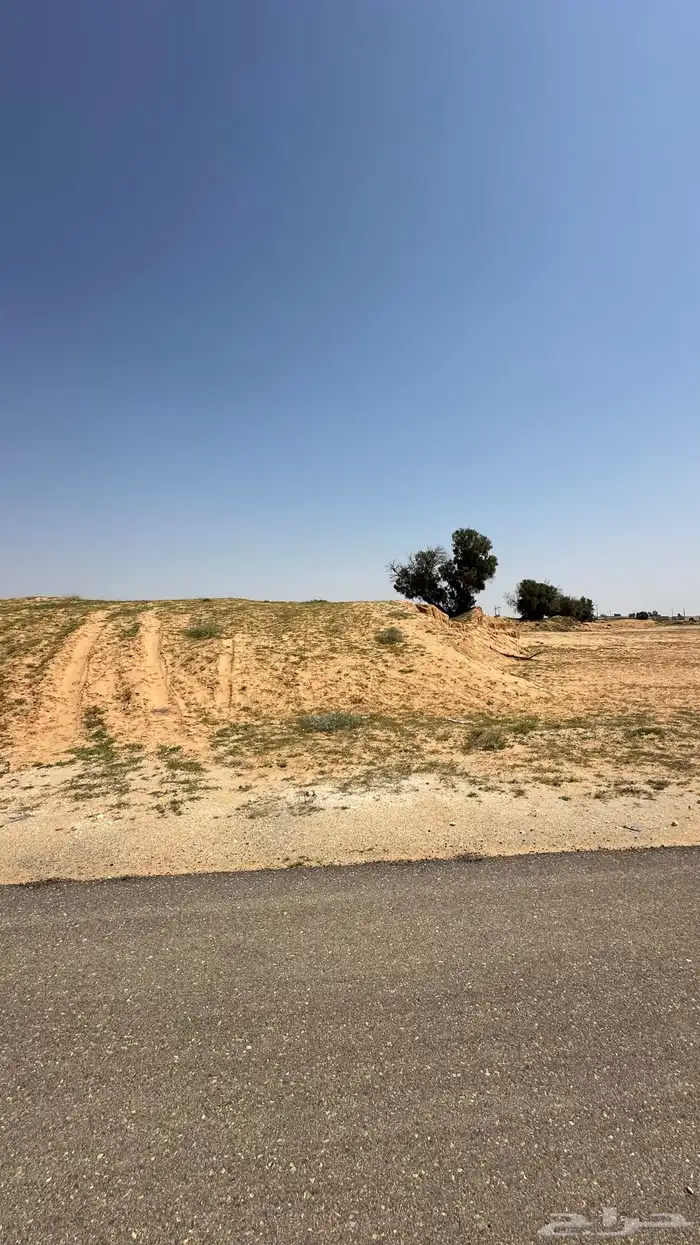 ارض للبيع بمخطط الملقاء بريدة 4