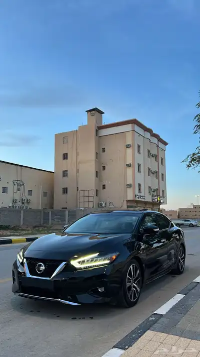 مكسيما 2022 1