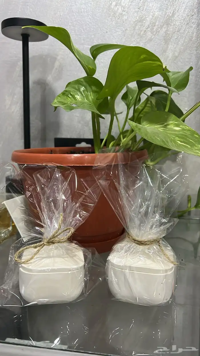 توزيعات العيد 3