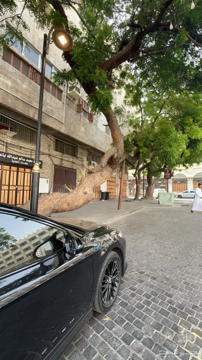 كامري 2023 GLE-X للبيع 3