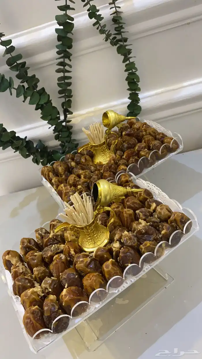 رياض لمزاحميه ضرماء جو 5