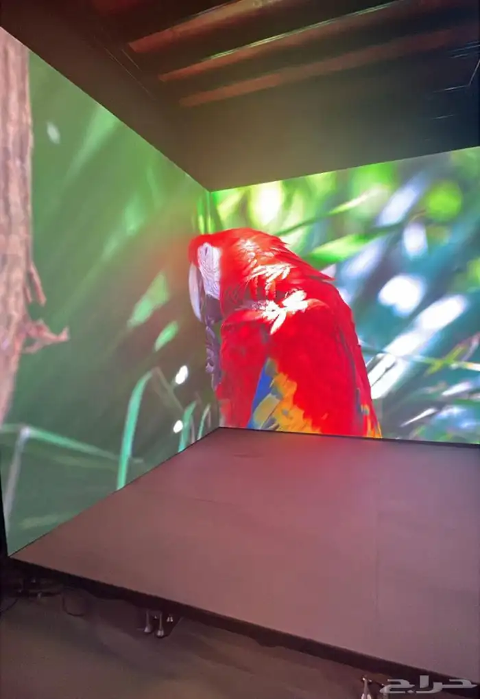 والاضاءت الاحترافية تاجير شاشات التلفزيscreen rental Riyadh 2