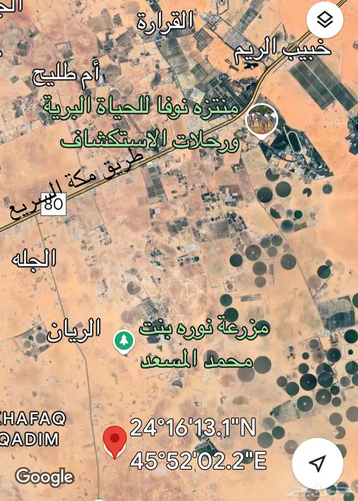 أرض زراعية في الجلة 11 ألف مخطط 616 سعر 470 ألف 3